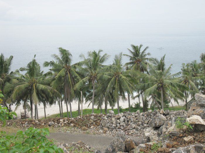 eine Reihe Palmen zwischen Baustelle und Strand