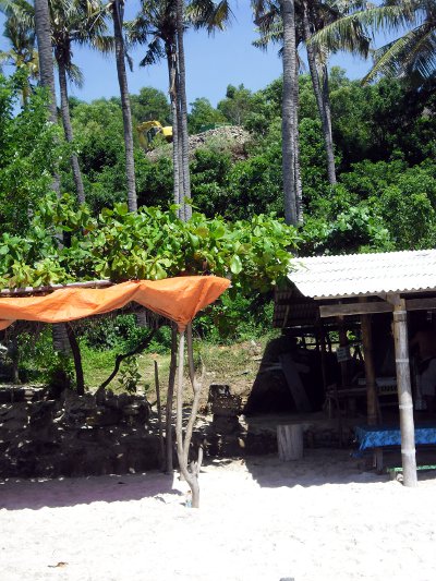 Bagger überm Strand