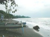 Beach of Lovina