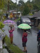 Bali women in the rain