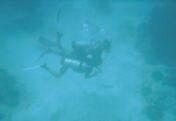 Divers in the Blue Lagoon